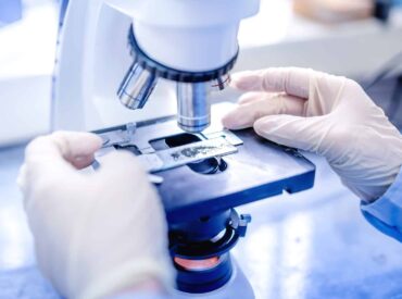 animal-park-istanbul-evcil-hayvan-pet-veteriner-tibbi-goruntuleme-video-mikroskop veteriner video mikroskop