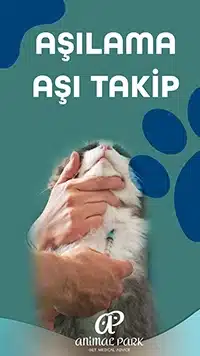 pet aşılama