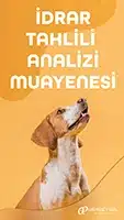 pet idrar tahlili analizi