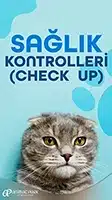evcil hayvan sağlık kontrolleri