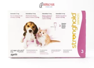 kedi köpek stronghold damla