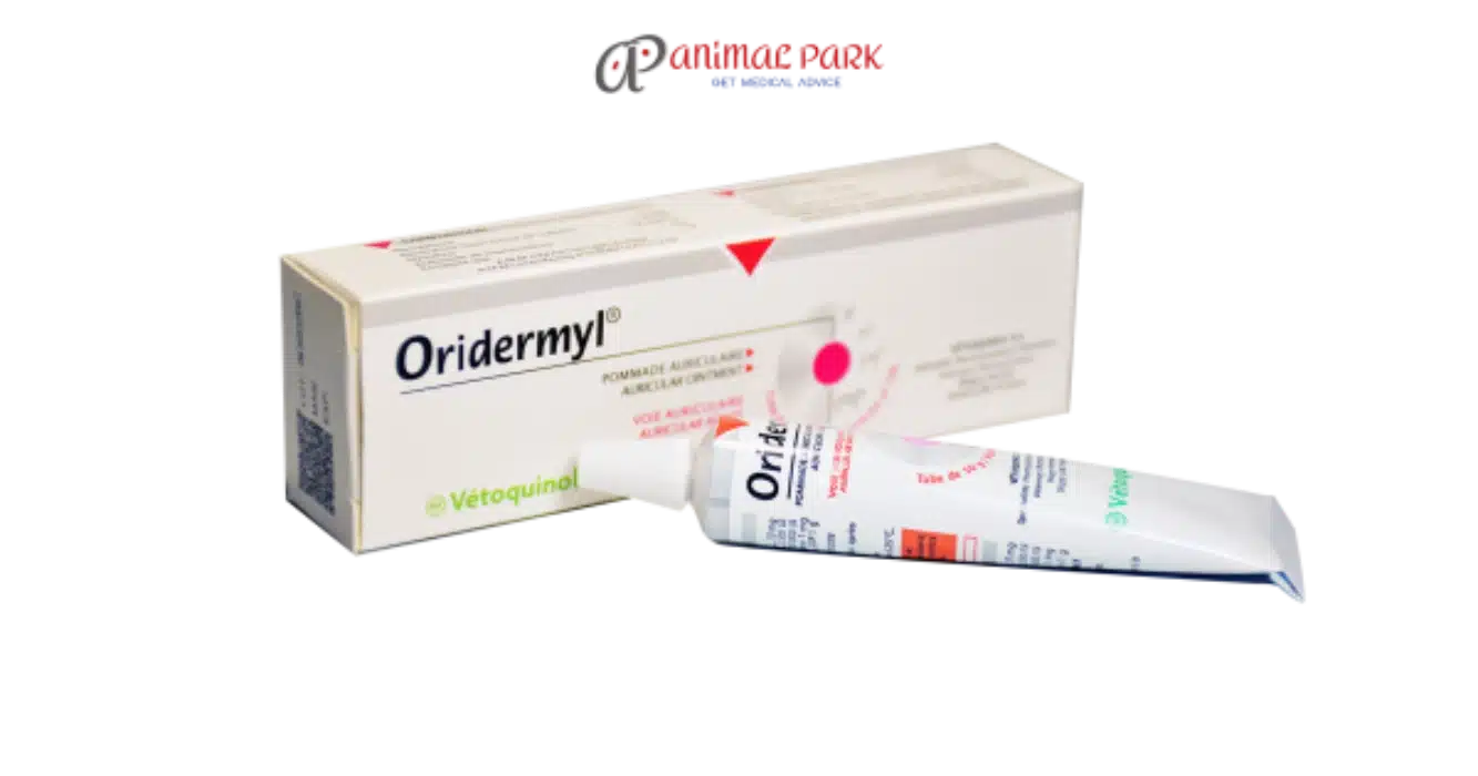 oridermyl krem nedir