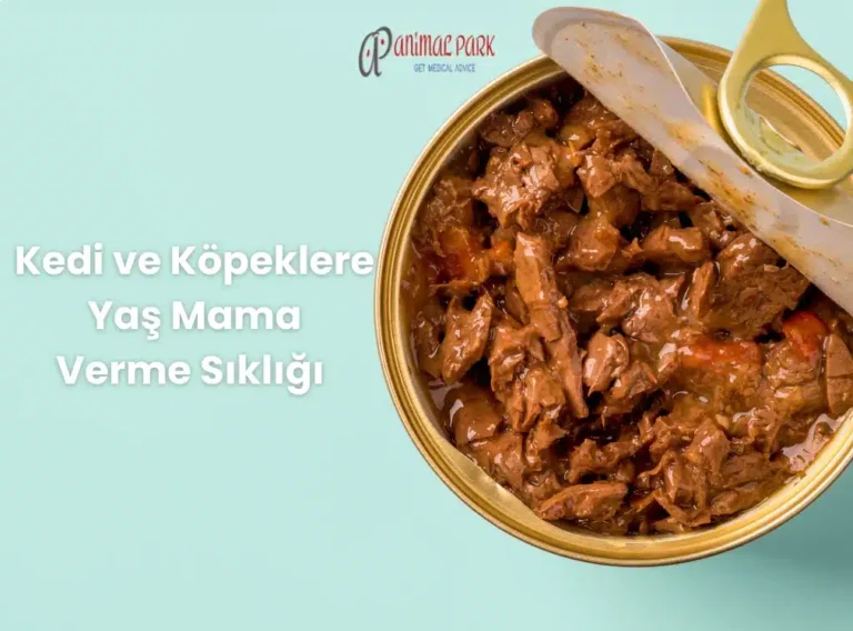 yaş mama